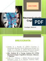 Neuropsicología Cognitiva: Cardigni, Maricel