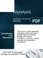 Glycolysis 2