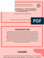 Actividad3.1 Aliz Tobias PDF