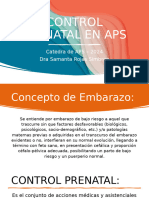 Control Prenatal en Aps