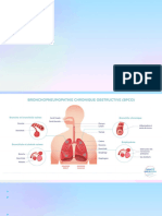 La Pathologie Medicale Ispits - Seances 3+4