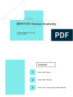 BPHY101 Human Anatomy - Lecture