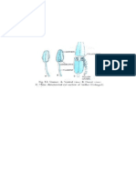 Structure of Anther and Pollen