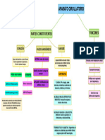 Mapa Conceptual Aparato Circulatorio