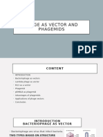 Phages As Vector and Phagemids