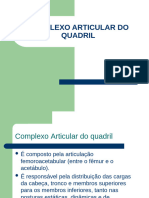 Complexo Articular Do Quadril Cinesiolog