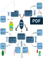 Mapa Conceptual Números Reales