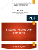 Slide Orgão Genital Feminino