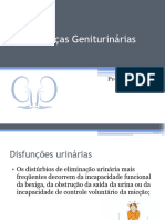 Doenças Urinárias