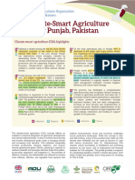 CSA - Profile - Punjab