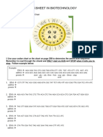 DNA Worksheet