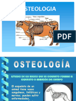 Clase 2 Osteologia