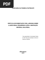 Efeito Da Suplementação Com L-Arginina Sobre A Lesão Renal Progressiva Após A Obstrução Ureteral Unilateral