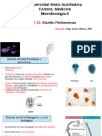 Giardia Trichomonoas Trypanosoma