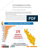 Incendios Forestales en El Perú