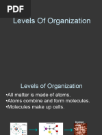 Levels of Organization