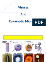 06 Viruses and Eukaryotes