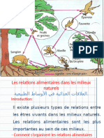 Les Relations La Classification Les Équilibres