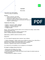 Anatomie Suite MS + Epaule + Base