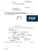 7.cycle de Krebs