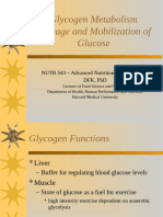 Glycogen Metabolism