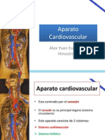 Anatomía de Tórax: Aparato Cardiovascular (Corazón)