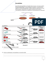 Activités 2ème Sciences Information Génétique