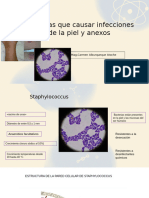 Staphylococcus y Streptococcus .Semana 3