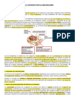 Tema 8 Metabolismo