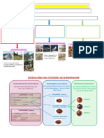 Bilan Biodiversite