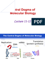 Lecture 10 12 MRIs 1