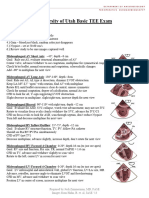 Utah Basic TEE Exam 1