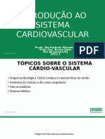 Aula 11 - Sistema Circulatório Embriologia Tecidos Anatomia-1