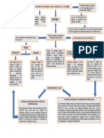 Mapa Conceptual Mecanismos de Afiliacion A Seguridad Social