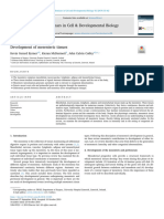 Development of Mesenteric Tissue - 2019 - Seminars in Cell - Developmental Biolo