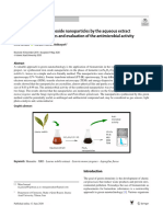 Green Synthesis of Iron Oxide Nanopartic