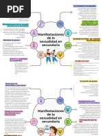 Manifestaciones de La Sexualidad en Secundaria