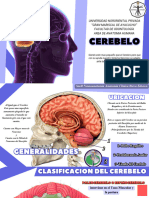 Tema 3 - Cerebelo y Meninges