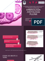 Copia de Embrio Histo. Diana Altamirano