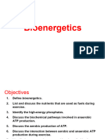 Topic 1 - Bioenergetics