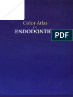 Color Atlas of Endodontics - Johnson