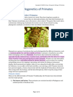 L2 Introduction PrimatePhylogenetics Fa24