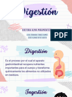 Digestión Compressed