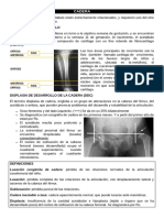 DDC Pediatría