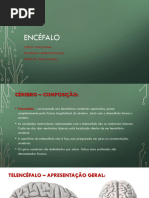 Aula Neuropsicologia - Telencéfalo