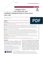 Involvement of Collagen XVII in Pluripotency Gene Expression and Metabolic Reprogramming of Lung CSC