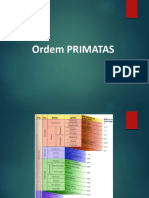 Primatas