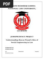 Jurisprudence Project