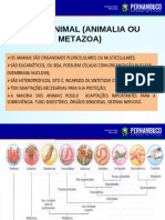 Os Grandes Filos Dos Metazoários22