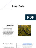 Amazônia